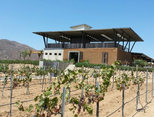 Vinicola Torres Alegre y Familia