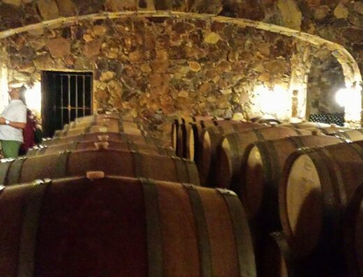 Vinícola Mogor Badán