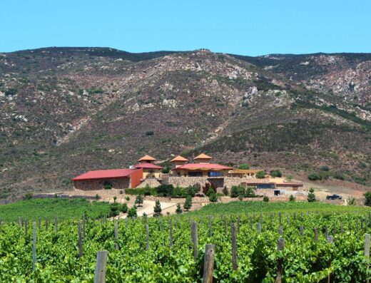 Las Nubes Bodegas y Viñedos