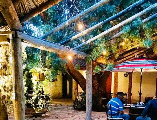 Vinicola Hacienda del Marqués