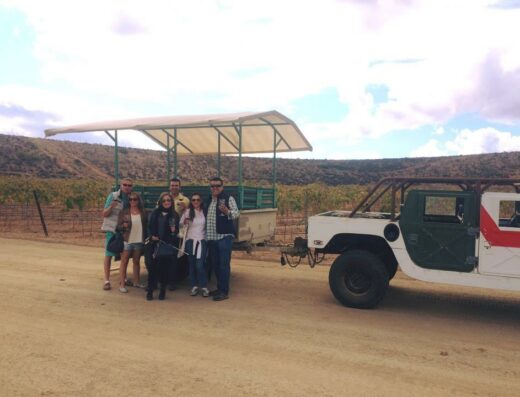 Castillo Ferrer Vinicola