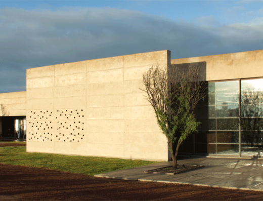 viñedos cuna de tierra