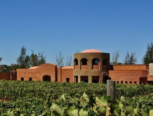 Vinisterra Vitivinicola